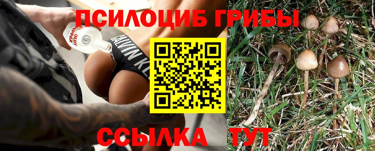 Гудермес  Галлюциногенные грибы прущие грибы  Вход с VPN  Галлюциногенные грибы мухоморы 