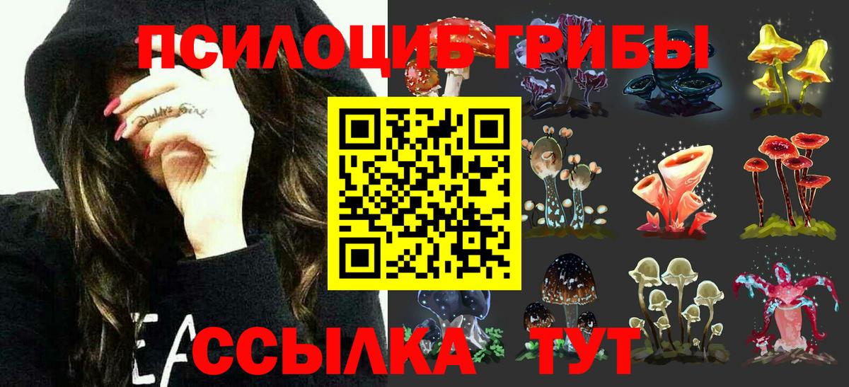 Галлюциногенные грибы ЛСД Гудермес